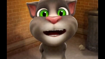 迪奥处刑曲遇上会说话的汤姆猫