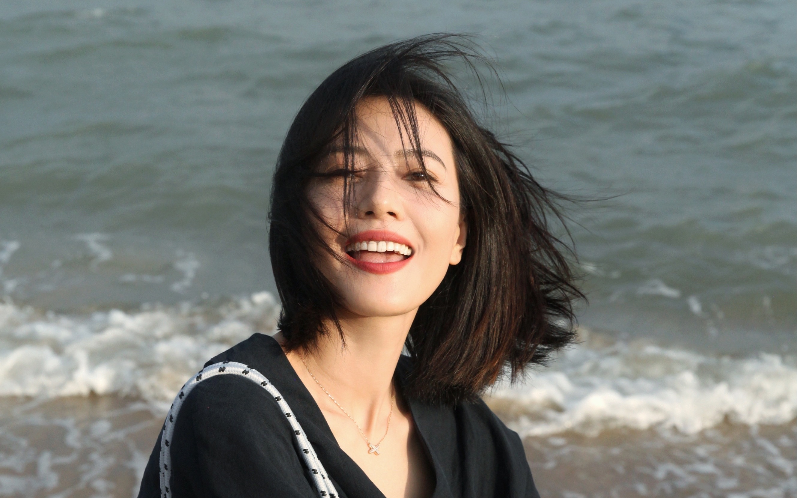 【高圆圆】厦门的海风咸咸的