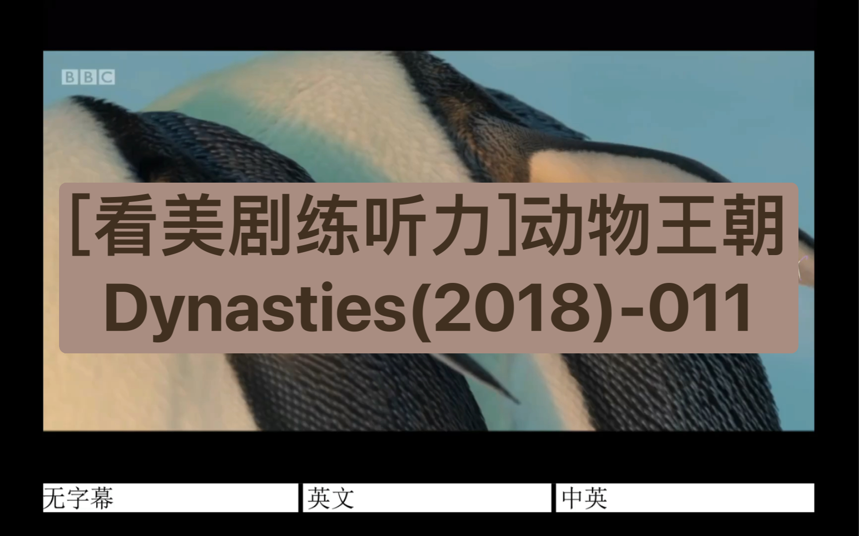 [图][看美剧练听力]动物王朝Dynasties(2018)-011