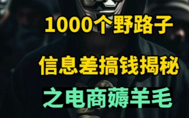 1000个野路子搞钱信息差揭秘电商薅羊毛月入十万.哔哩哔哩bilibili