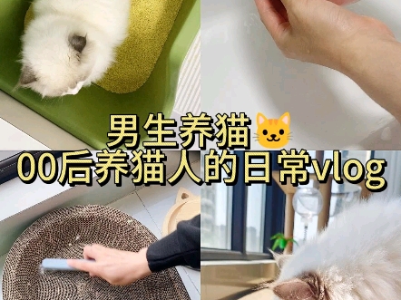 一人一猫的同居日常哔哩哔哩bilibili