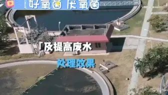 #上热门 厌氧池污泥回流到好氧池的作用是什么#污水处理#厌氧菌#好氧菌#污泥回流