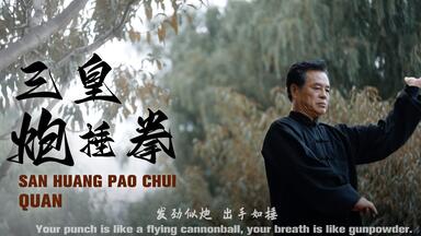 名家名拳】三皇炮捶拳教学系列——张汉文_哔哩哔哩_bilibili