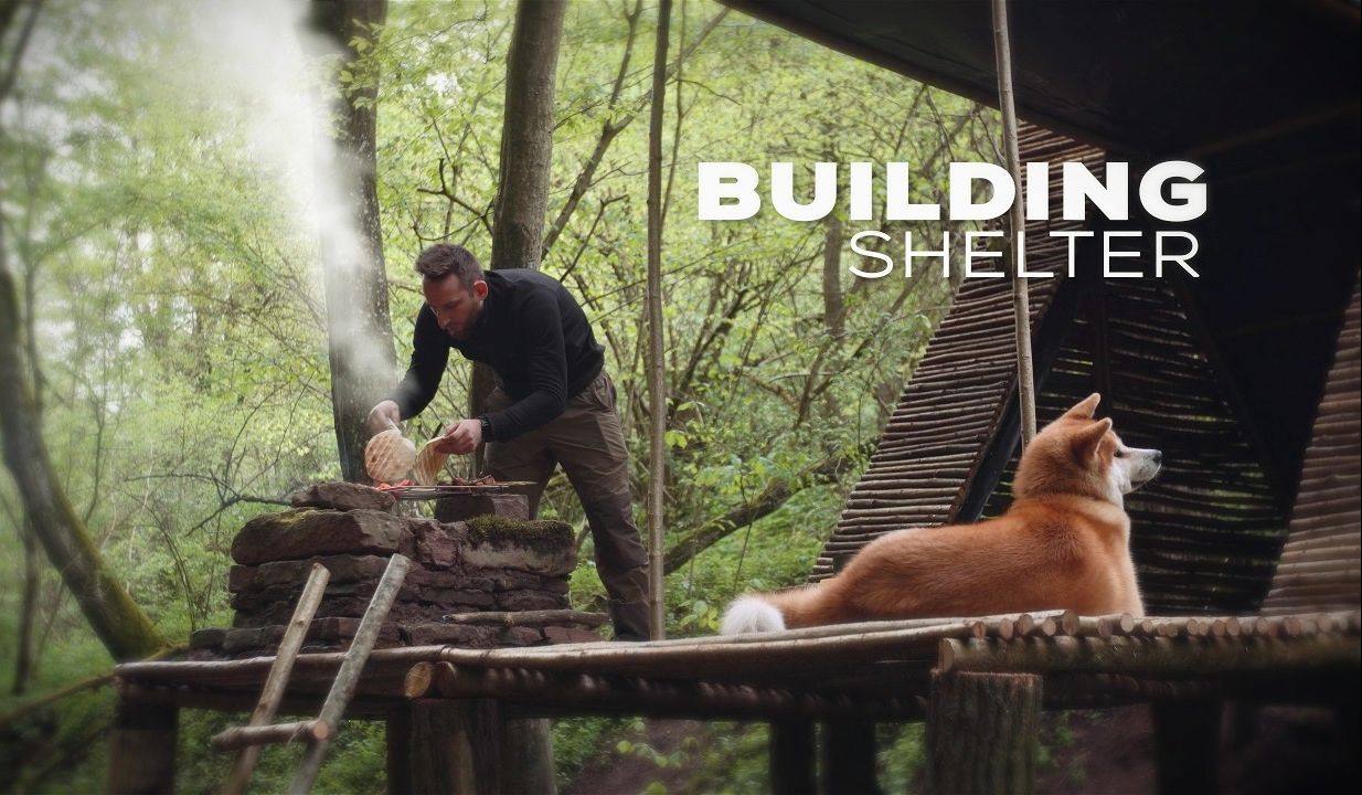 与我的狗在荒野中建造榛树小屋,在石烤架上烹饪食物,独自露营,户外烹饪哔哩哔哩bilibili