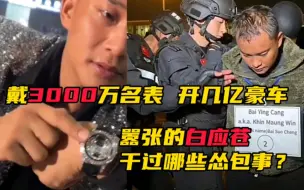 Скачать видео: 白应苍归案！残害国人让他从天堂坠入地狱，昨日嚣张，今日成笑柄