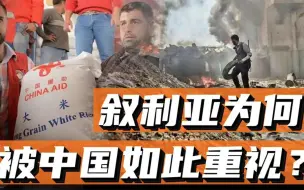 下载视频: 叙利亚为何值得被中国如此重视？叙利亚重建，中国力量能参与么？