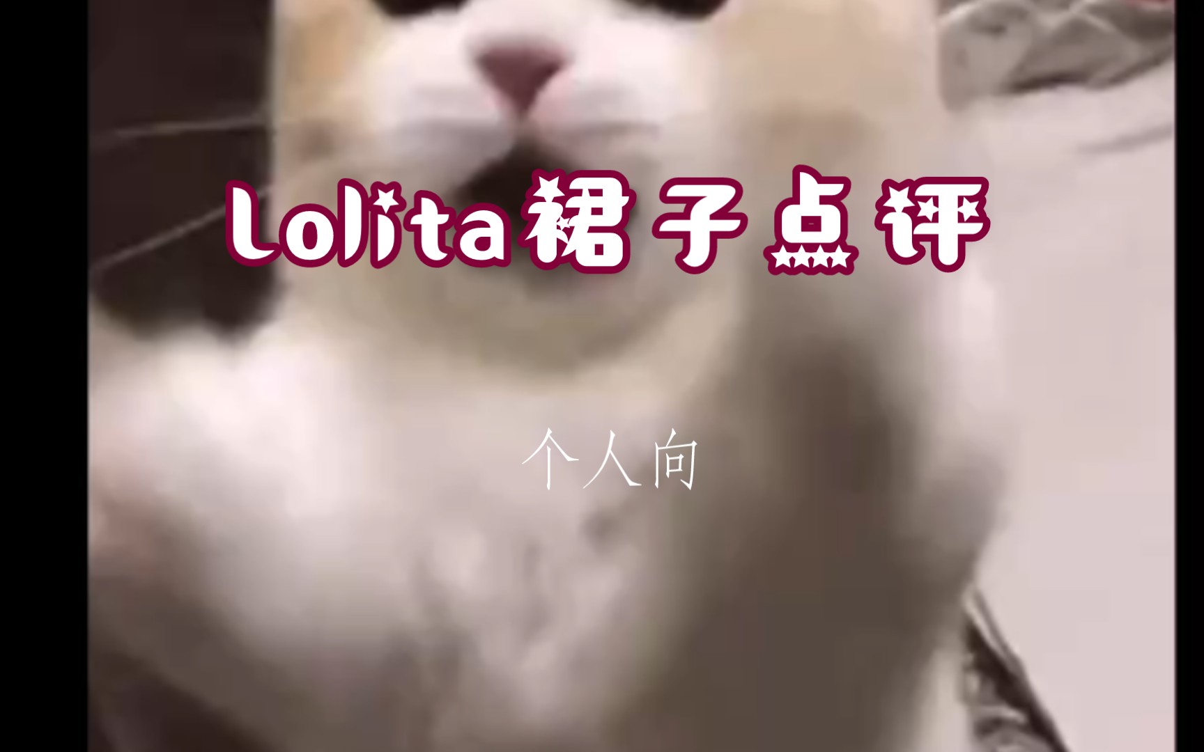 【三坑种草】对一些Lolita裙子的点评哔哩哔哩bilibili