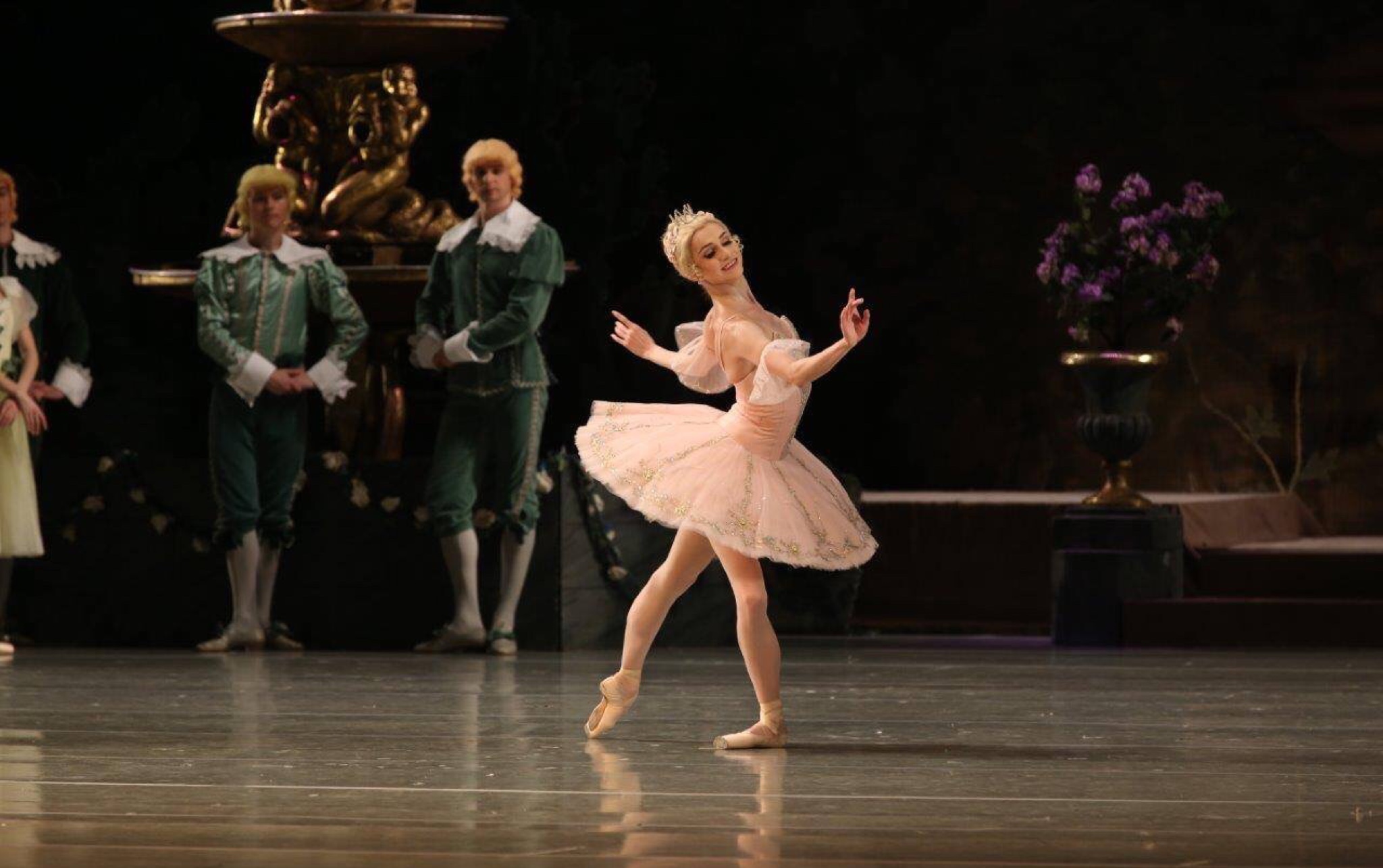 芭蕾芭蕾各版本睡美人三幕公主变奏合辑