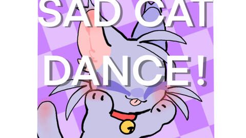 sad cat dance。_哔哩哔哩_bilibili