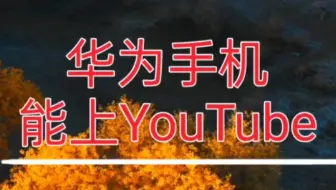 免谷歌框架上youtube 还能下载视频 哔哩哔哩 Bilibili