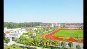 Скачать видео: 小学作文：美丽的校园