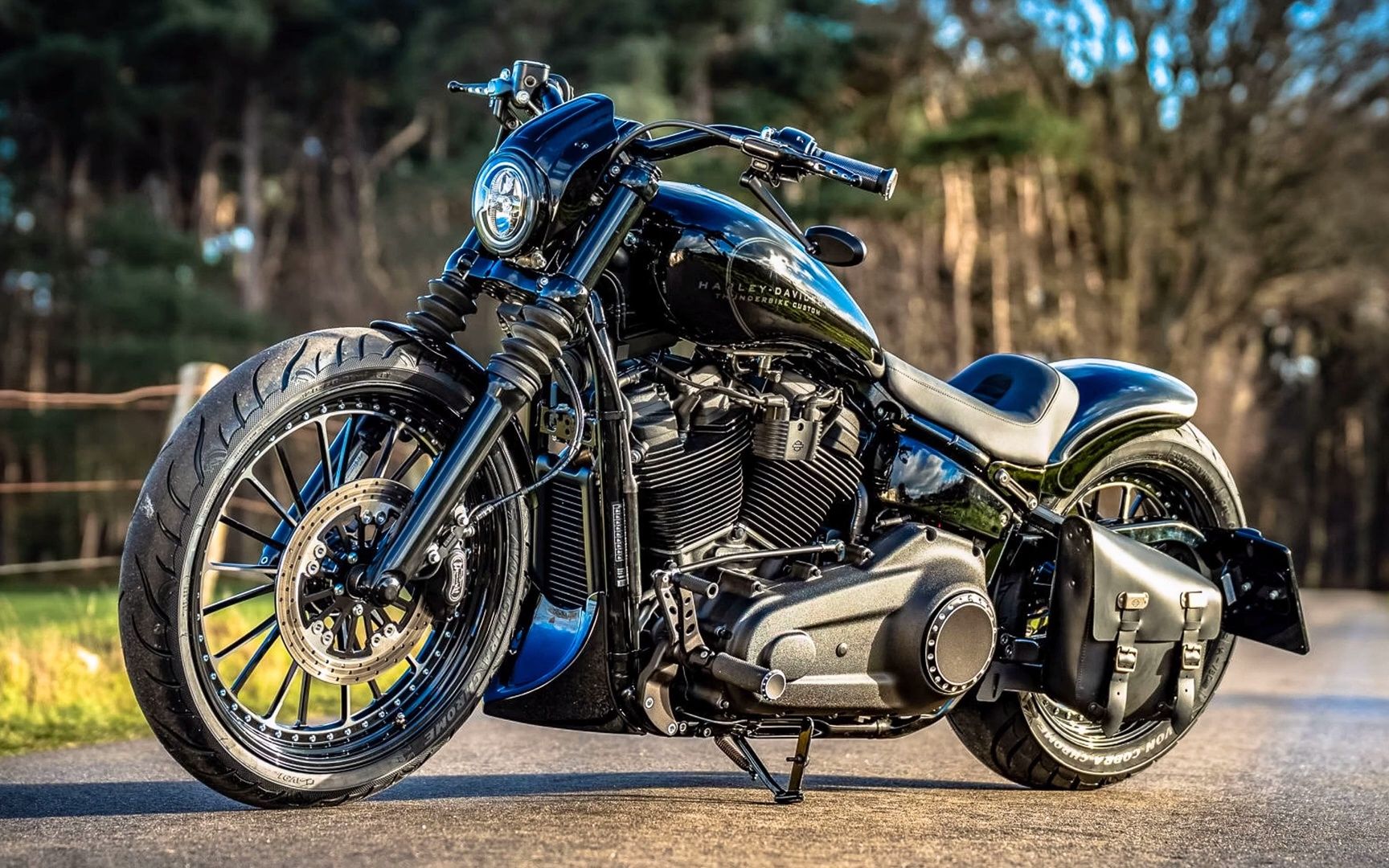 3个令人惊叹的哈雷戴维森street bob fxbb定制a&t设计