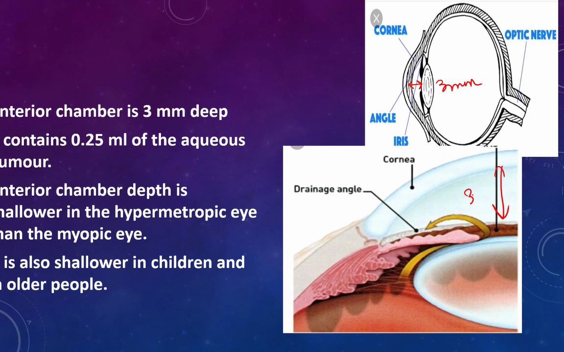 [图]Anatomy of Anterio Chamber and Angle of Eye - 前房角解剖及房角