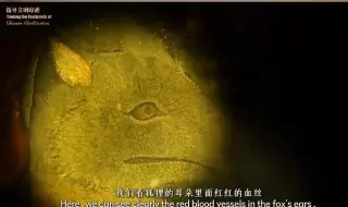 Скачать видео: 震惊！600年前的高超技艺 居然让璧画会唱歌？！