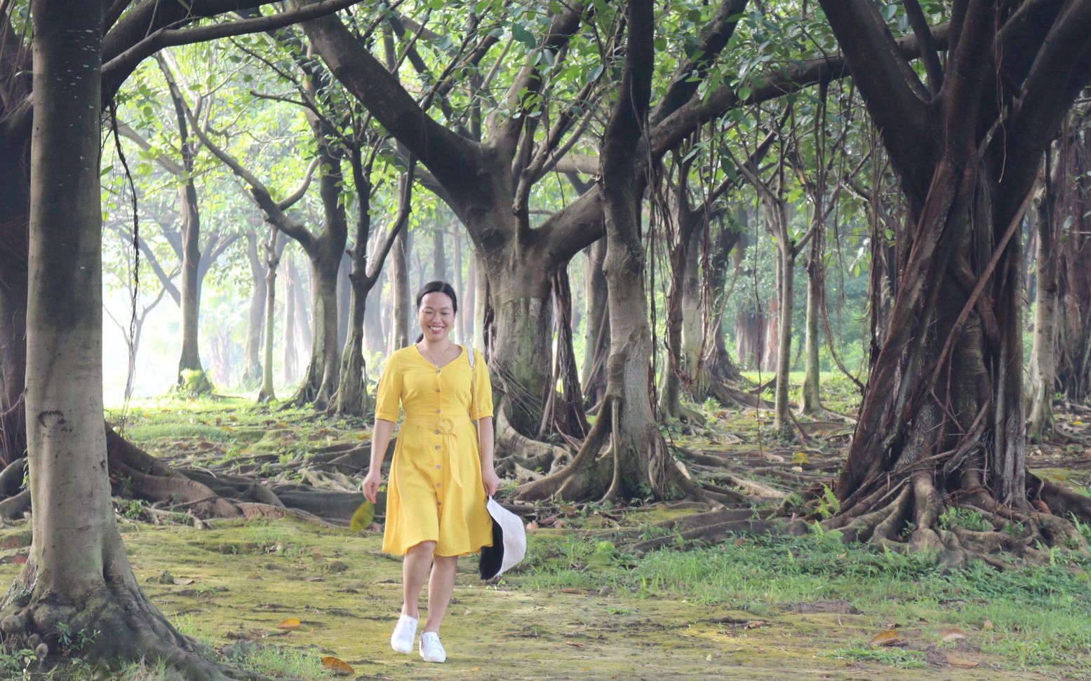 周未东莞自驾游必去景点:东莞植物园,里面鸟语花香,环境优美哔哩哔哩bilibili