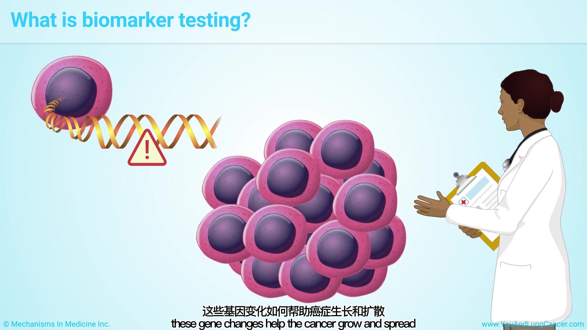 你和肺癌第十期:了解非小细胞肺癌的生物标志物检测哔哩哔哩bilibili