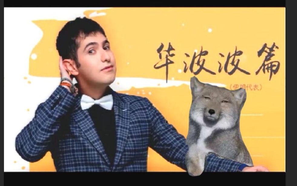非正式会谈人物志之华波波上被怼担当为怼而生怼的代言人