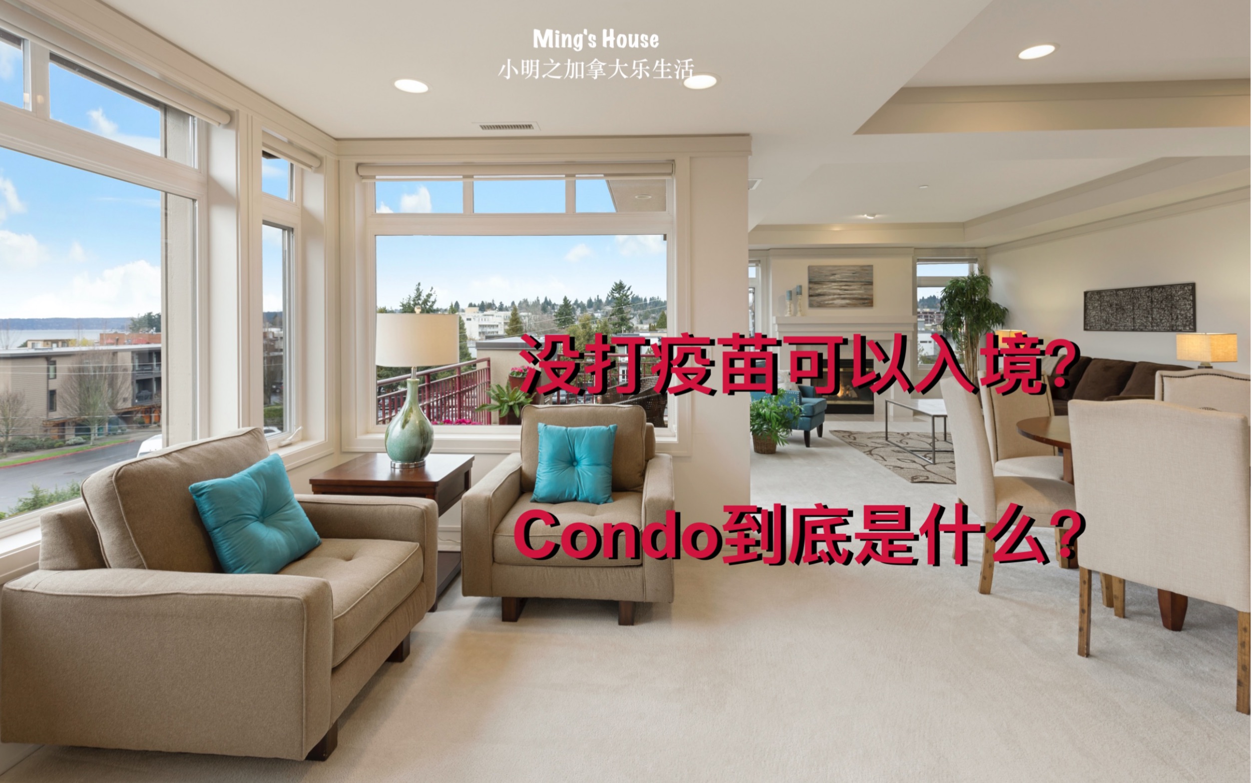 没打疫苗可以入境?Condo到底是什么?哔哩哔哩bilibili