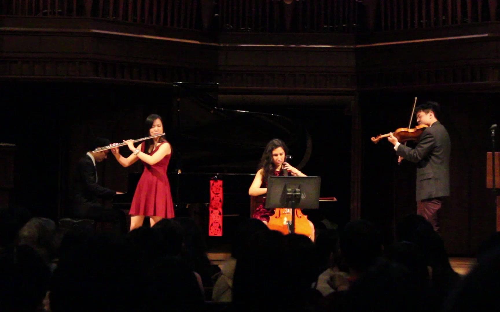 【小提琴x大提琴】犬夜叉ost系列-Ⅰ慕情(1/5)【小paganini x 我会拉