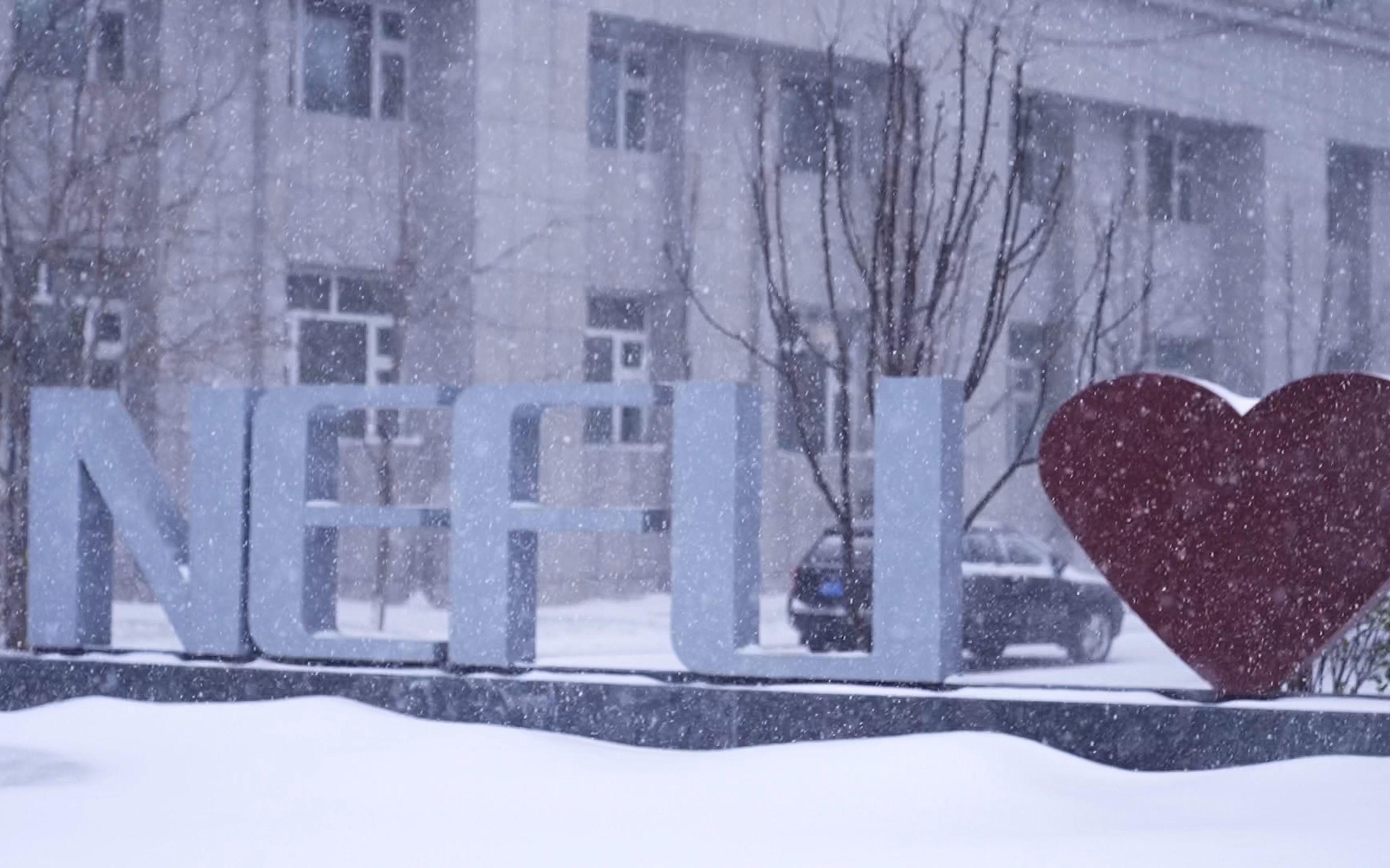 [图]听，东林初雪落下的声音