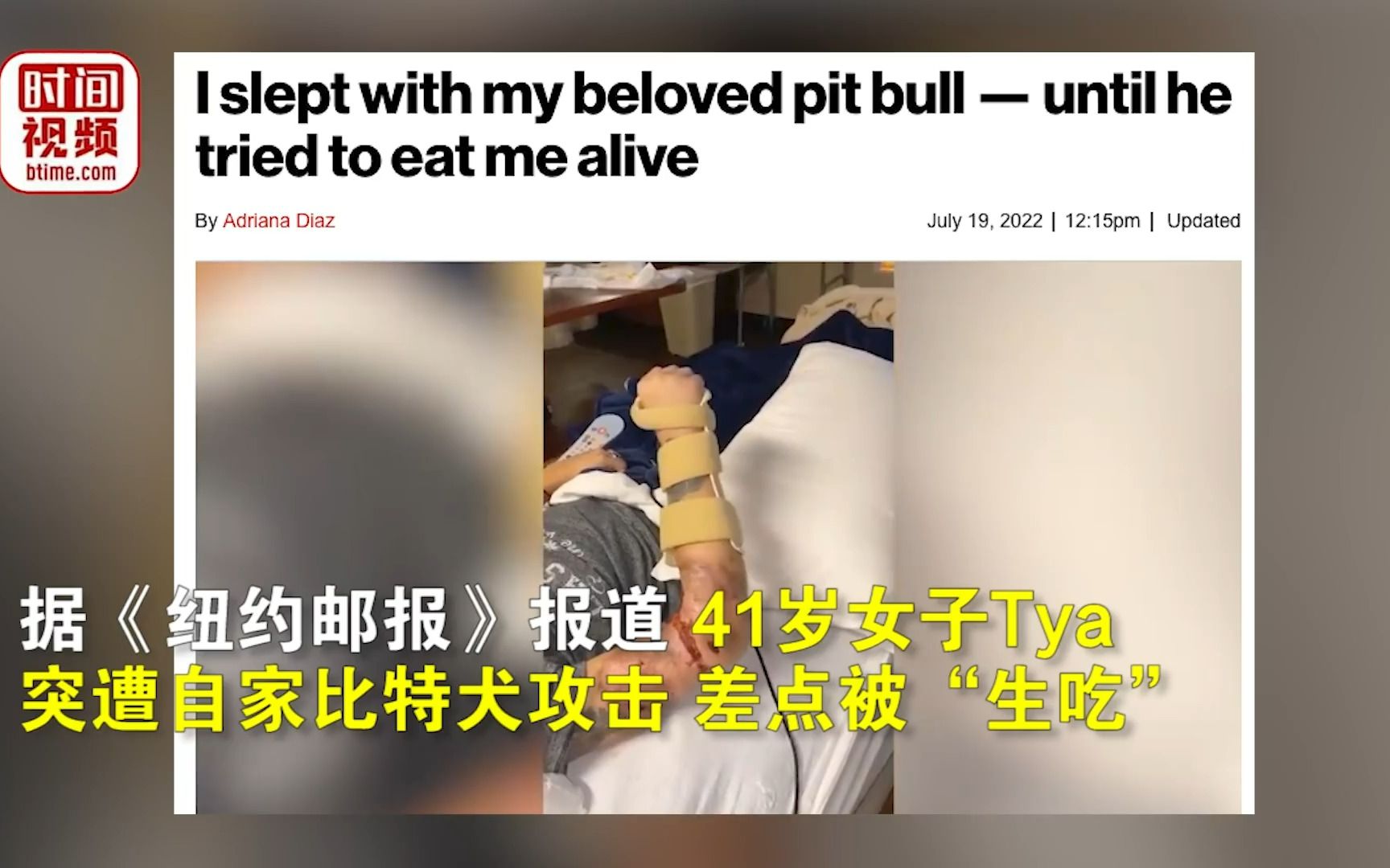 美国女子被自家比特犬咬掉手臂吞吃:狗是两年前捡的,已经安乐死哔哩哔哩bilibili