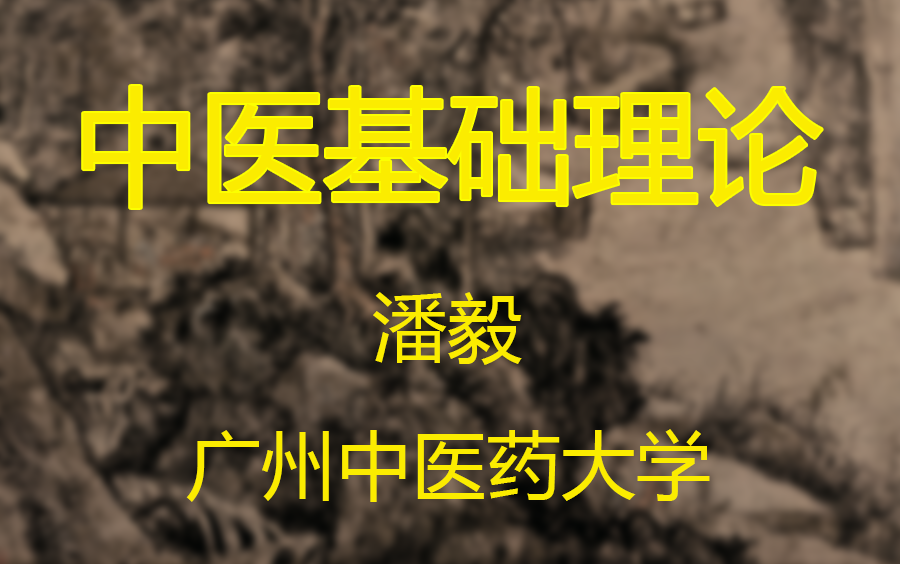 【中医基础理论】潘毅主讲 广州中药大学 中基 结合易经(112讲全)哔哩哔哩bilibili