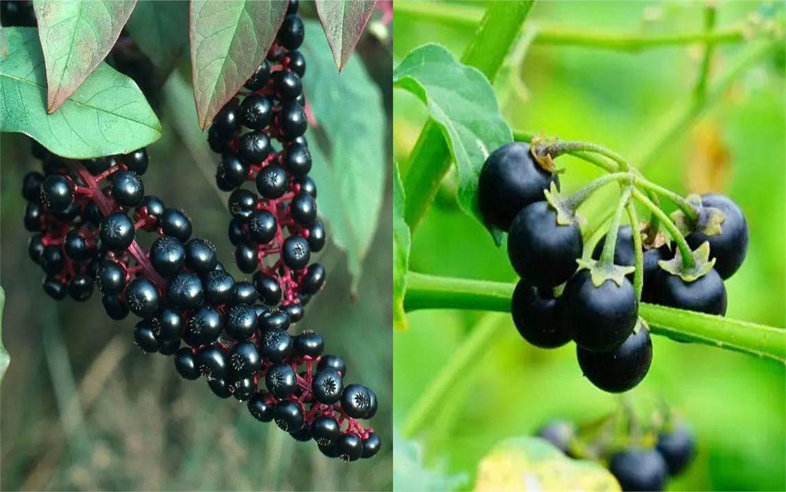 [图]小伙吃下“童年回忆”，转眼就因食物中毒送医，心酸表示：别学我