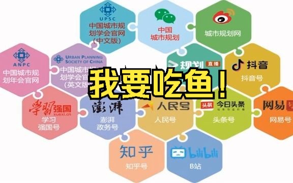 漏网之鱼,媒体里有多少呢?哔哩哔哩bilibili