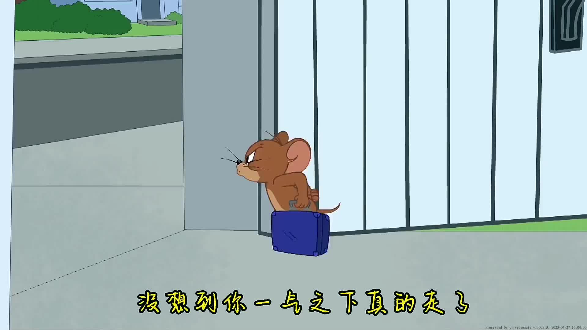 没想到杰瑞真的走了,汤姆好伤心!程响故事终章猫和老鼠 漫剪