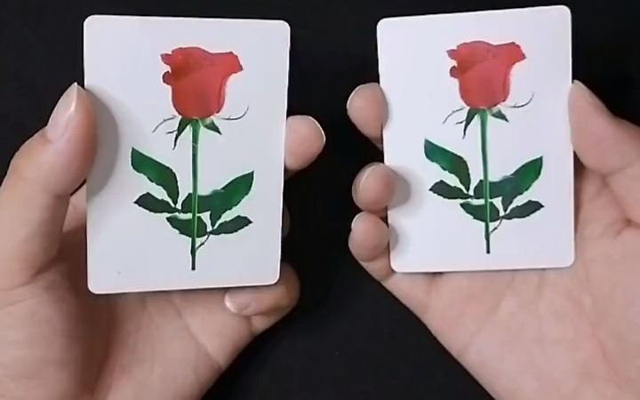 纸玫瑰悬浮魔术教学图片