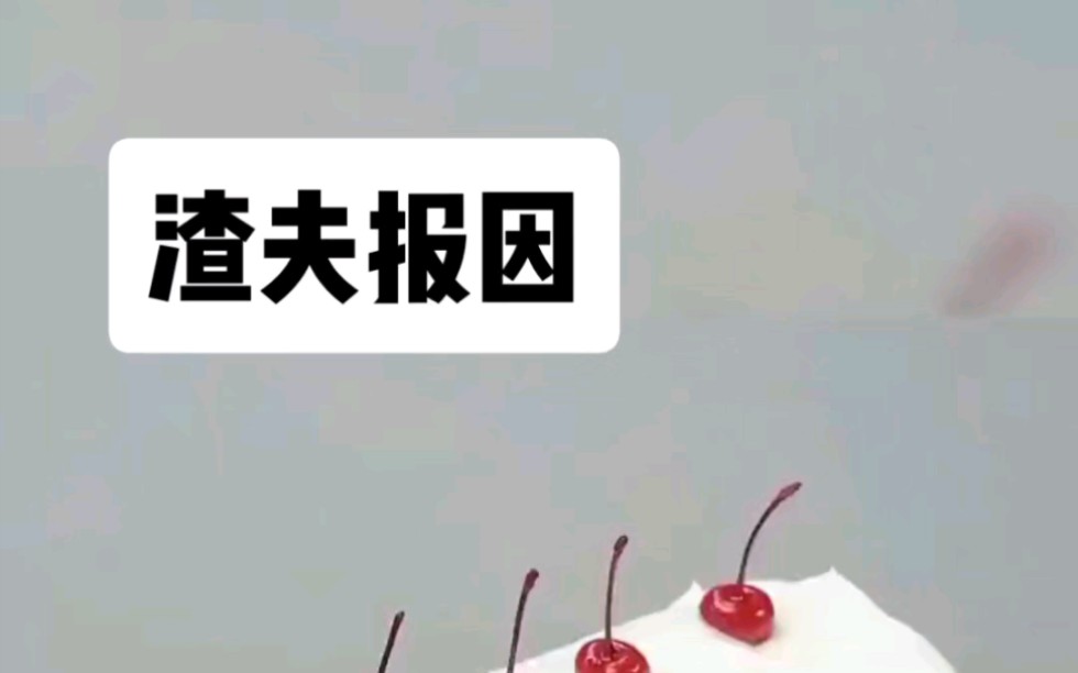 淑敏:渣夫抱因 后序在只呼哔哩哔哩bilibili