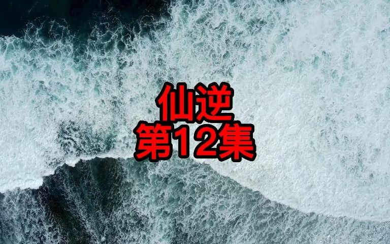 [图]仙逆丨超多人有声剧丨第12集