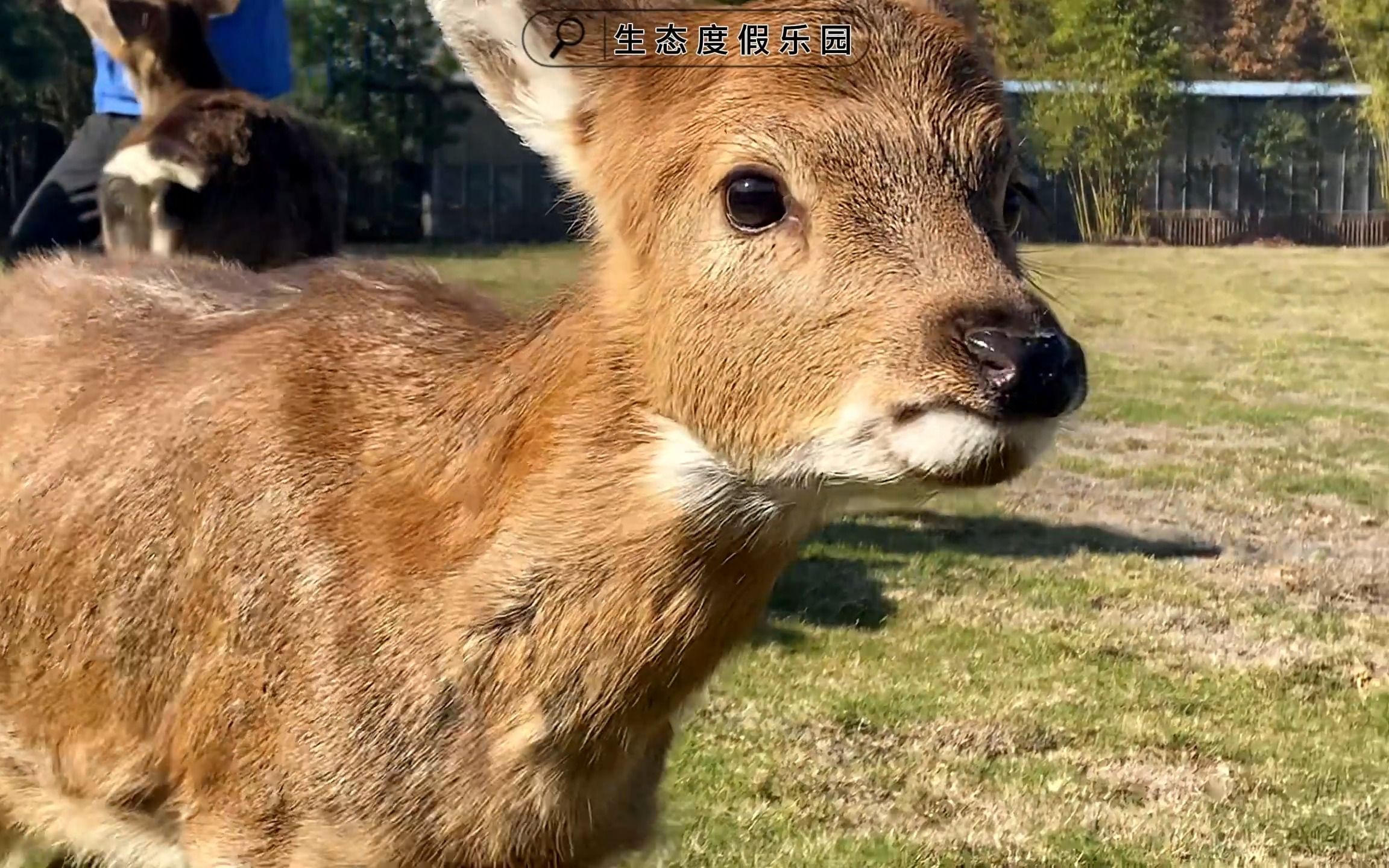 周末高质量生活!湘潭盘龙大观园秋季出游攻略!哔哩哔哩bilibili