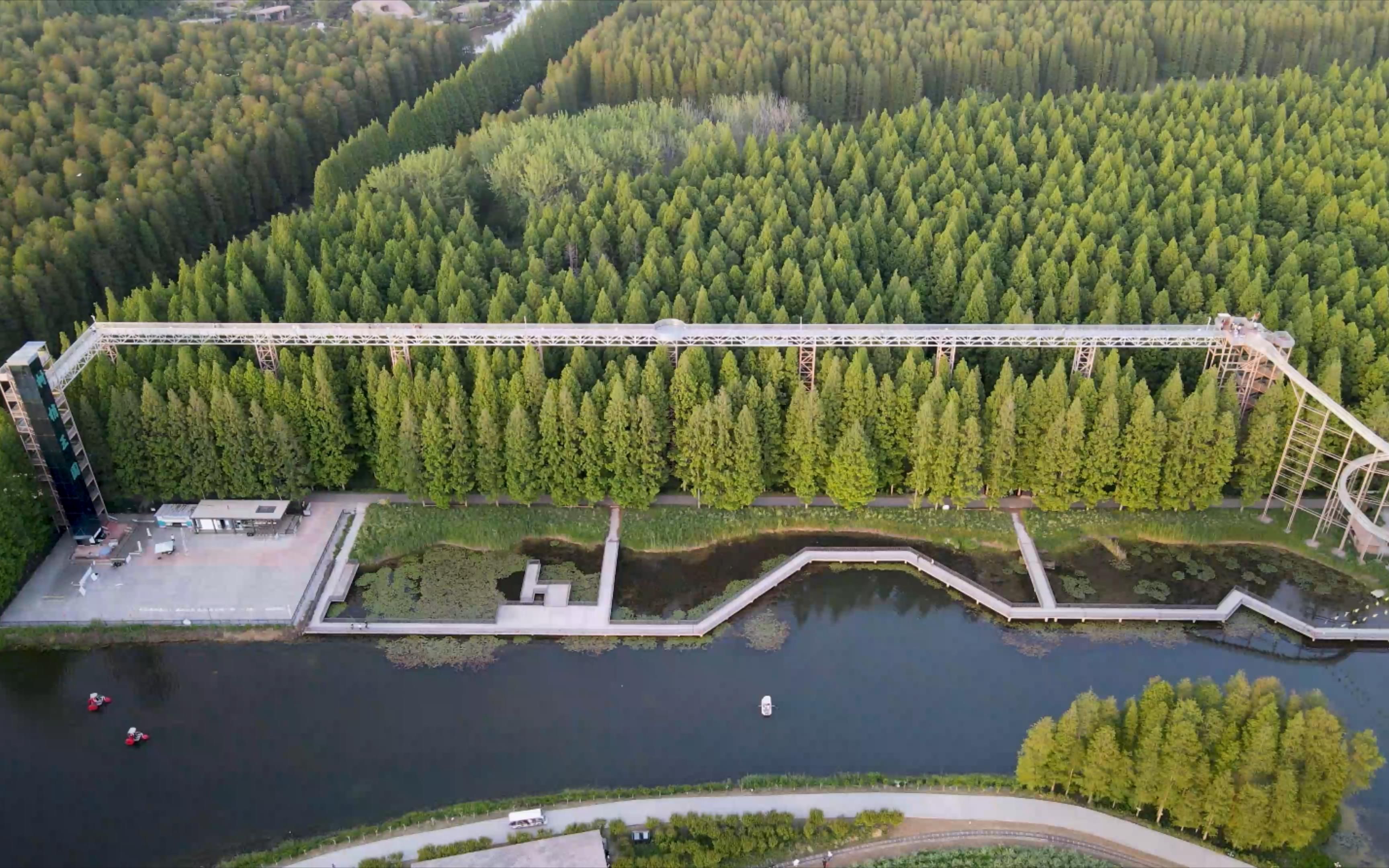 淮安|金湖水上森林