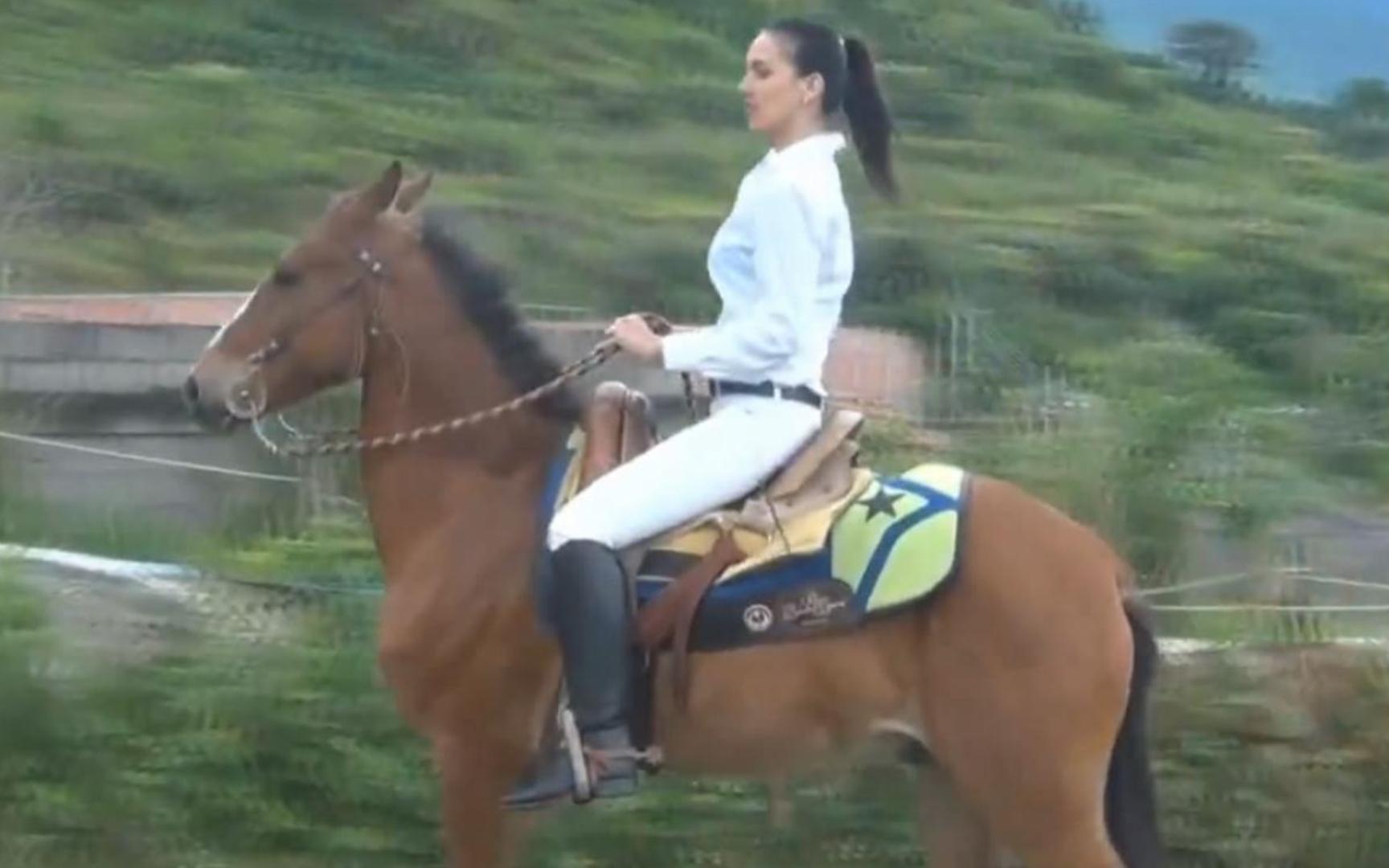 【动物·马】白衣白裤女骑士骑马