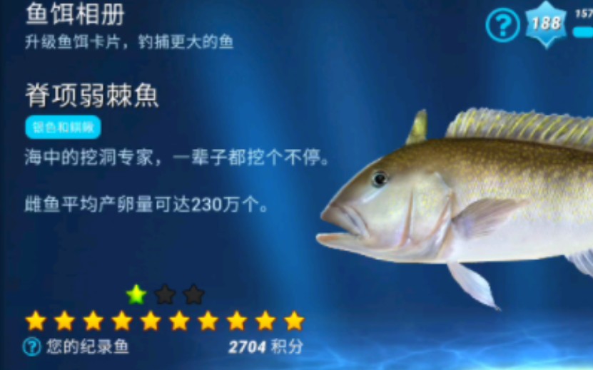 钓鱼大对决国服佛罗里达,一辈子挖呀挖的脊项弱棘鱼