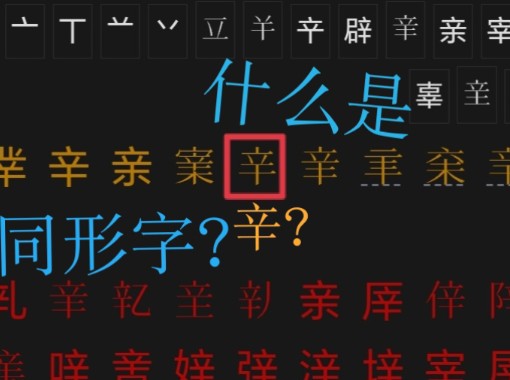 什么是“同形字”?哔哩哔哩bilibili