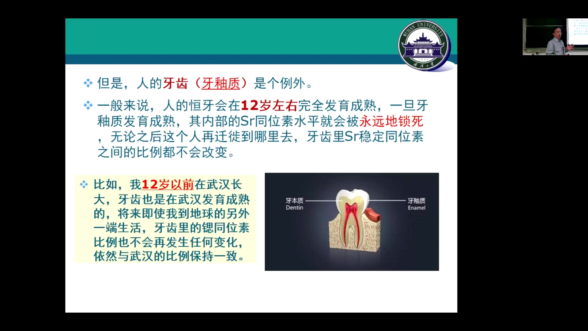 20210317 科学技术在考古中的应用  理化分析(4)同位素分析技术哔哩哔哩bilibili