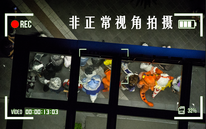 furry非正常视角拍摄毛毛合照