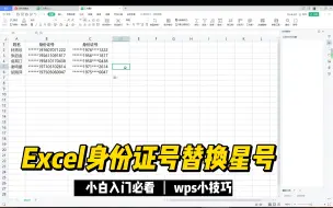 Download Video: Excel身份证号替换星号-wps小技巧