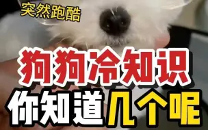 Download Video: 狗狗冷知识，你都知道几个？