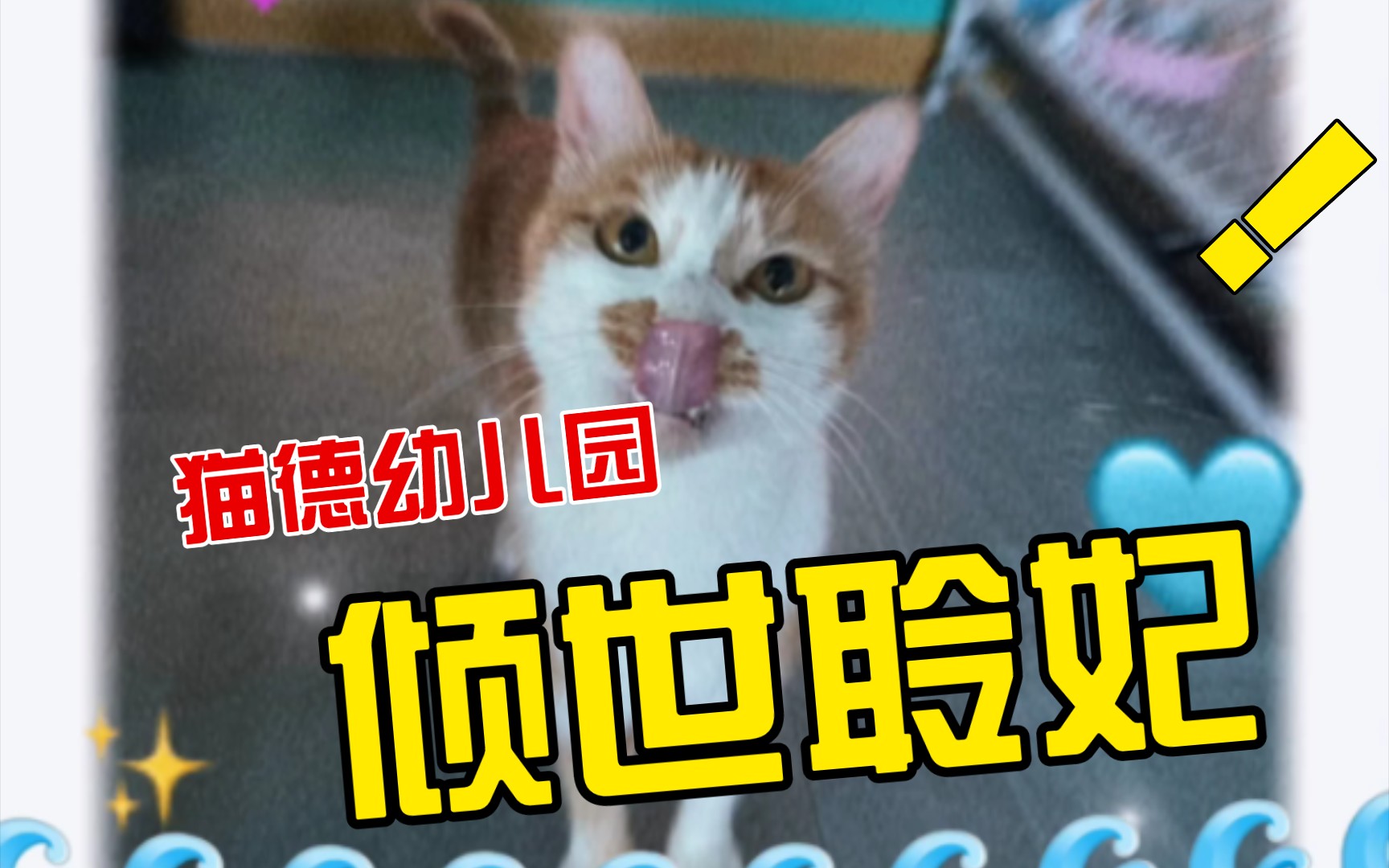 [图]猫德幼儿园之倾世聆妃 × 流浪动物救助 × 流浪猫救助