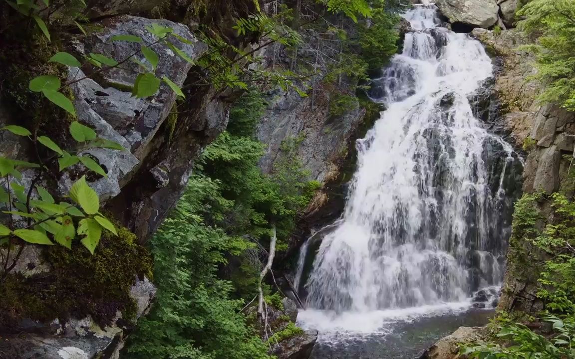 视频素材 ▏d85 小清新高山流水小溪瀑布河流高山山上绿色植物树木大自然景色空镜头视频素材哔哩哔哩bilibili