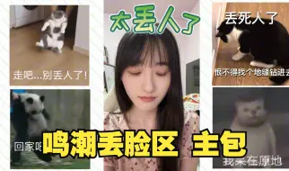 Download Video: 【鸣潮】道歉视频......思考了很久还是决定信守承诺把这个丢脸视频发出来 3天后删