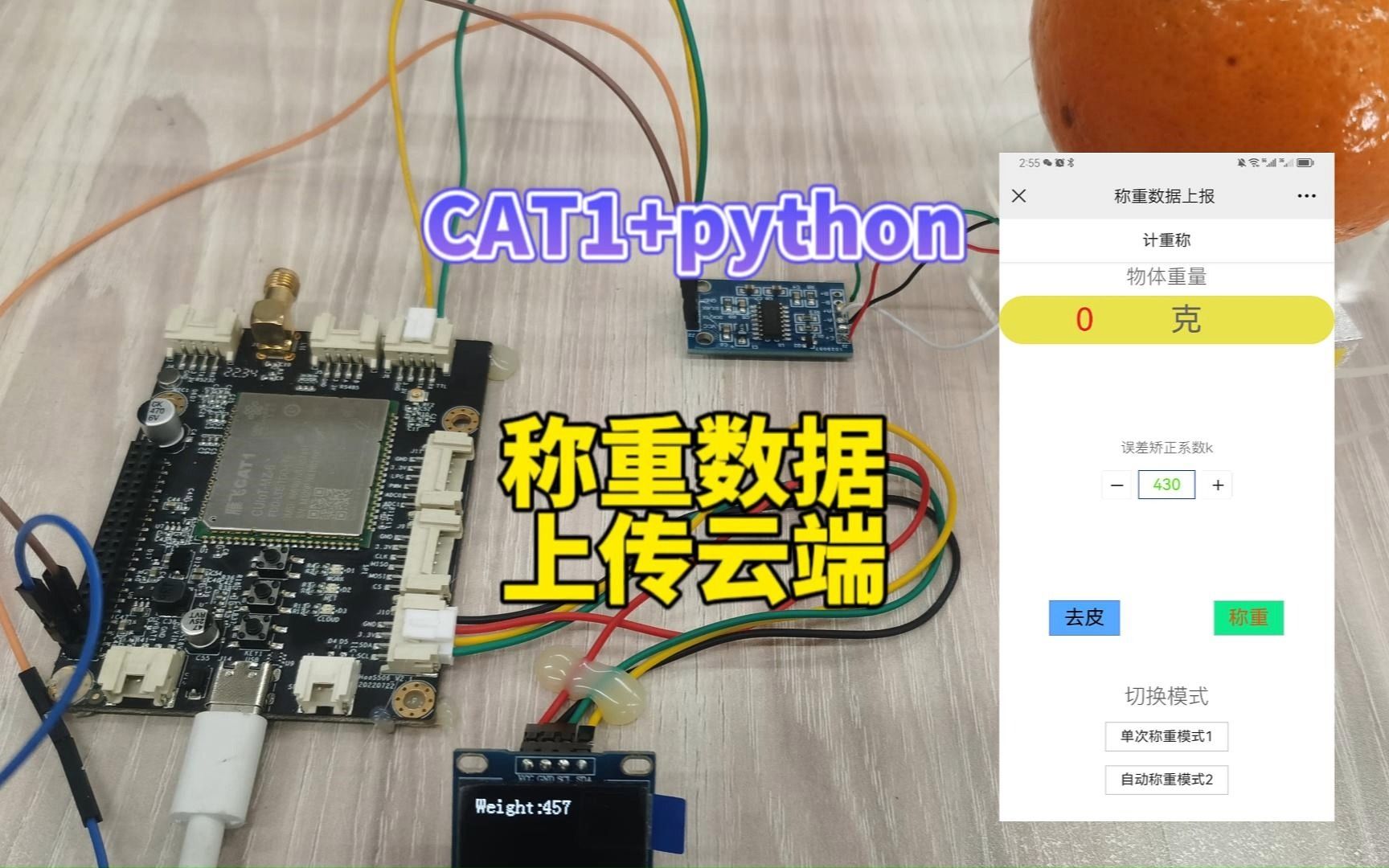 python写的4G云电子秤案例,附源码教程哔哩哔哩bilibili