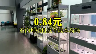 Download Video: 一颗生菜的成本0.84元，划算吗？