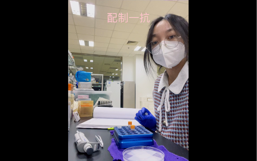 科研必备技能—Western Blot(四) 一抗孵育(医学博士手把手教学)哔哩哔哩bilibili