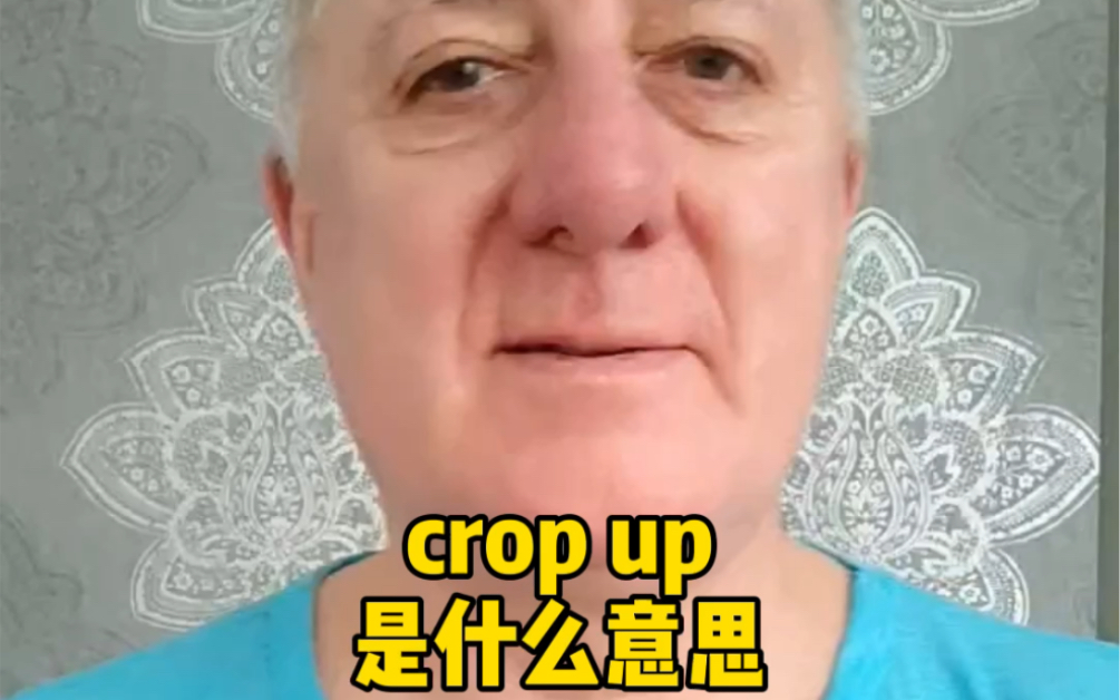 crop up是什么意思哔哩哔哩bilibili