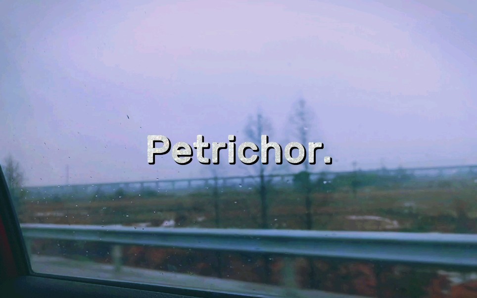 [图]Petrichor——雨天的泥土味