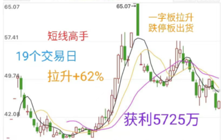 中国证监会处罚案例之日月股份:短线游资53个账户操盘次新,19个交易日拉升62%,玩转一字拉升跌停出货,持有最多15.5万手占流通37.86%,获利5725...